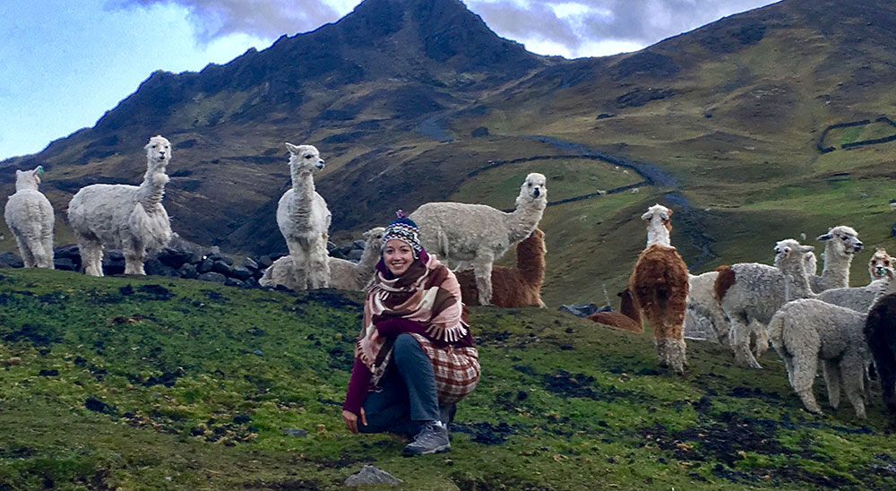 Katie Lorenz, founder of Campo Alpaca, surrounded by alpacas in the hills of Peru